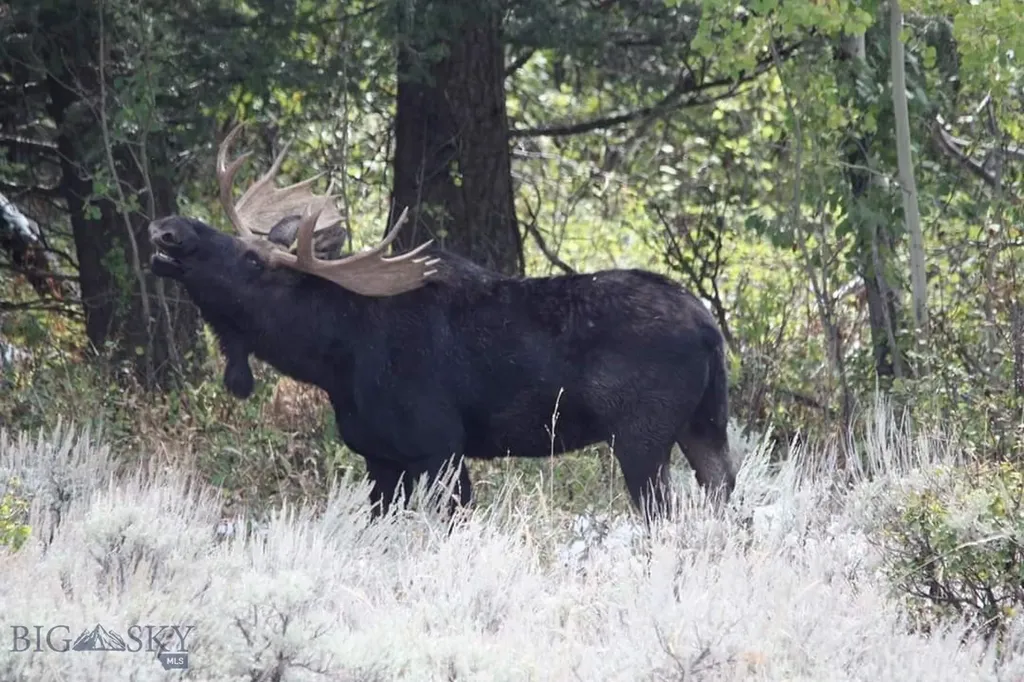176 Game Trail Road Bozeman MT 59715