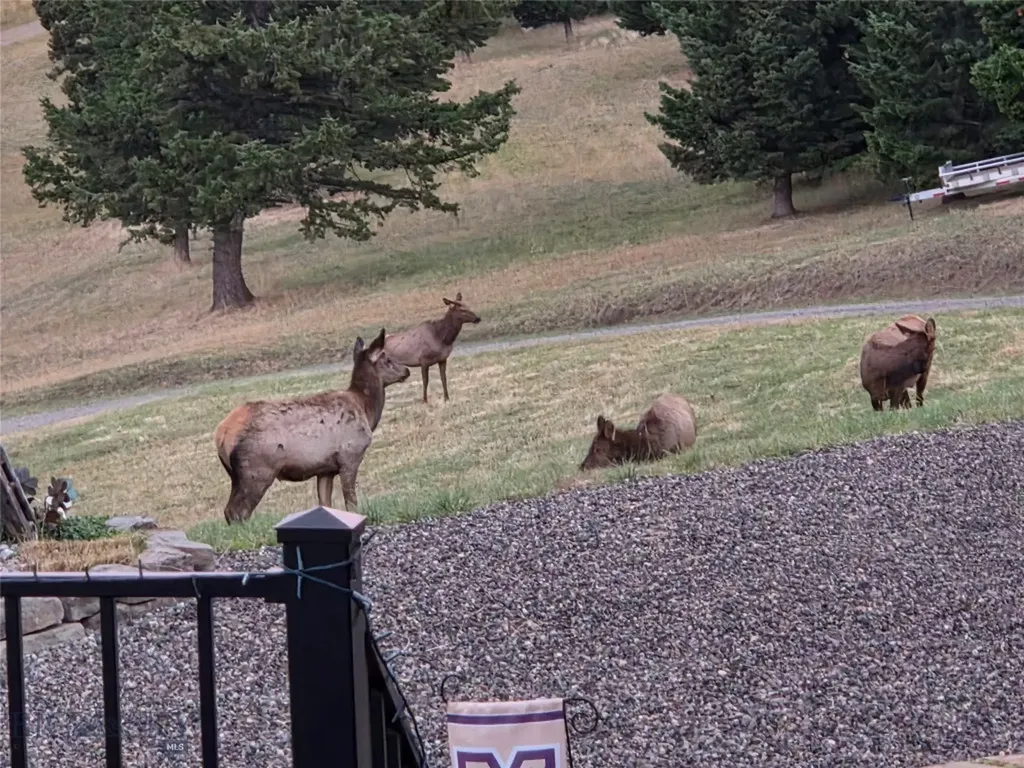 176 Game Trail Road Bozeman MT 59715