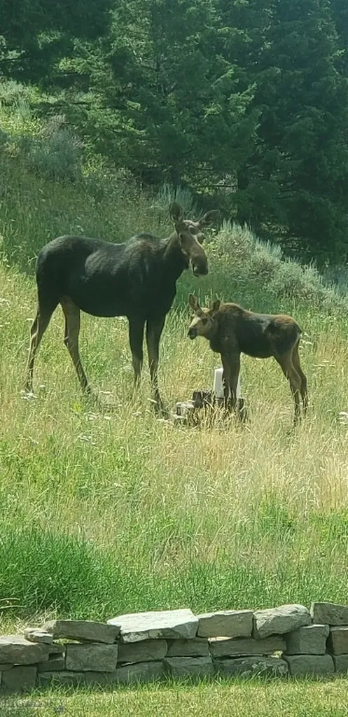 176 Game Trail Road Bozeman MT 59715