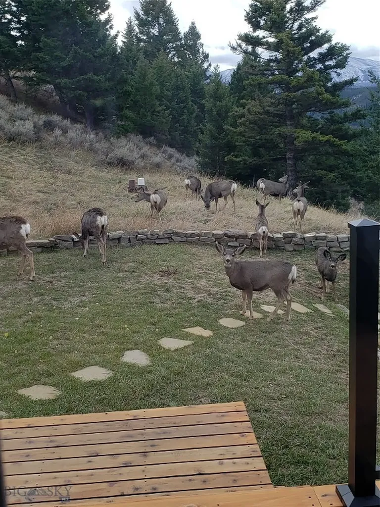 176 Game Trail Road Bozeman MT 59715