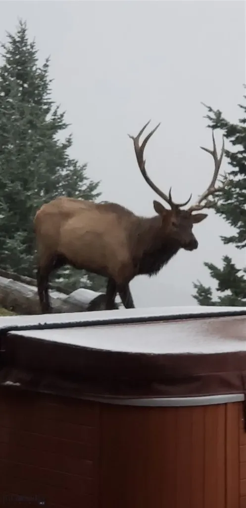 176 Game Trail Road Bozeman MT 59715