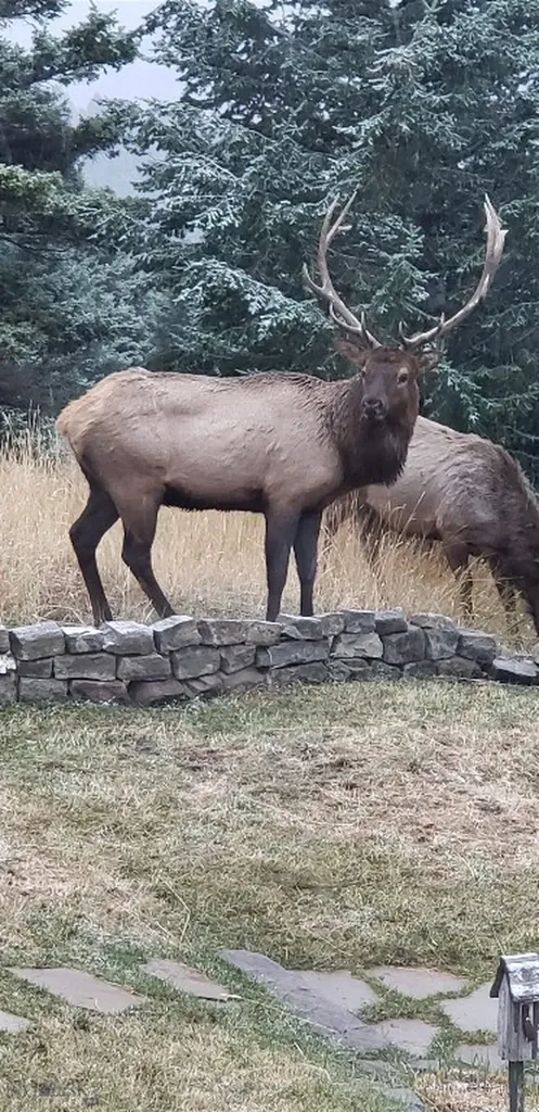 176 Game Trail Road Bozeman MT 59715