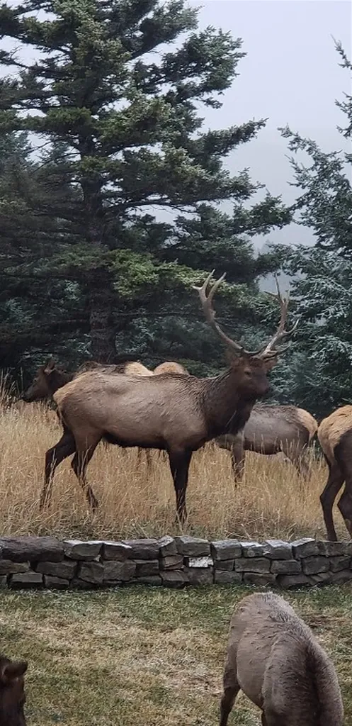 176 Game Trail Road Bozeman MT 59715