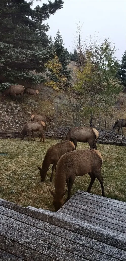 176 Game Trail Road Bozeman MT 59715