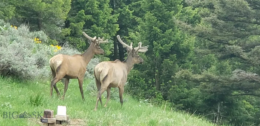 176 Game Trail Road Bozeman MT 59715