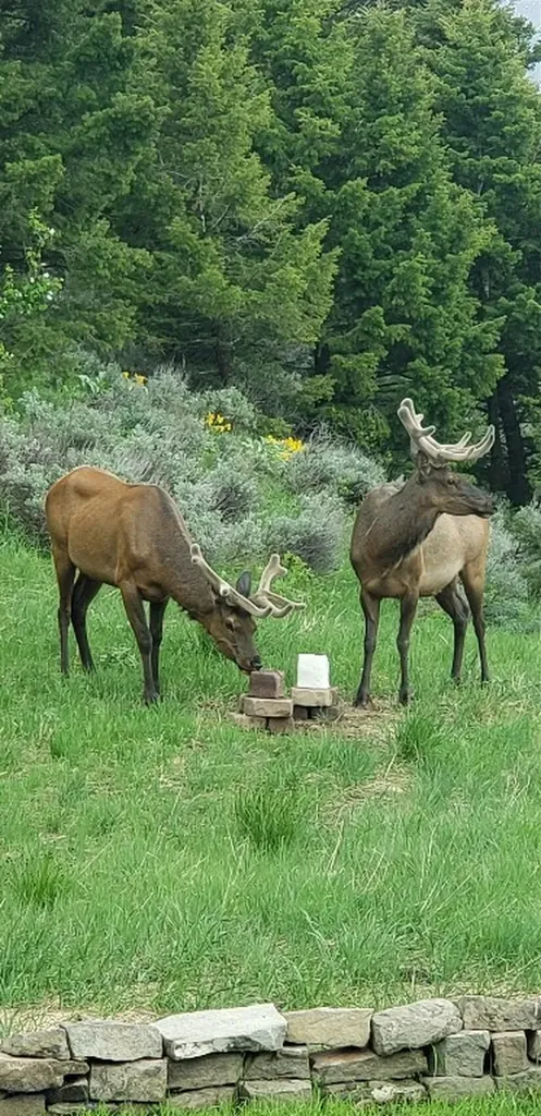 176 Game Trail Road Bozeman MT 59715