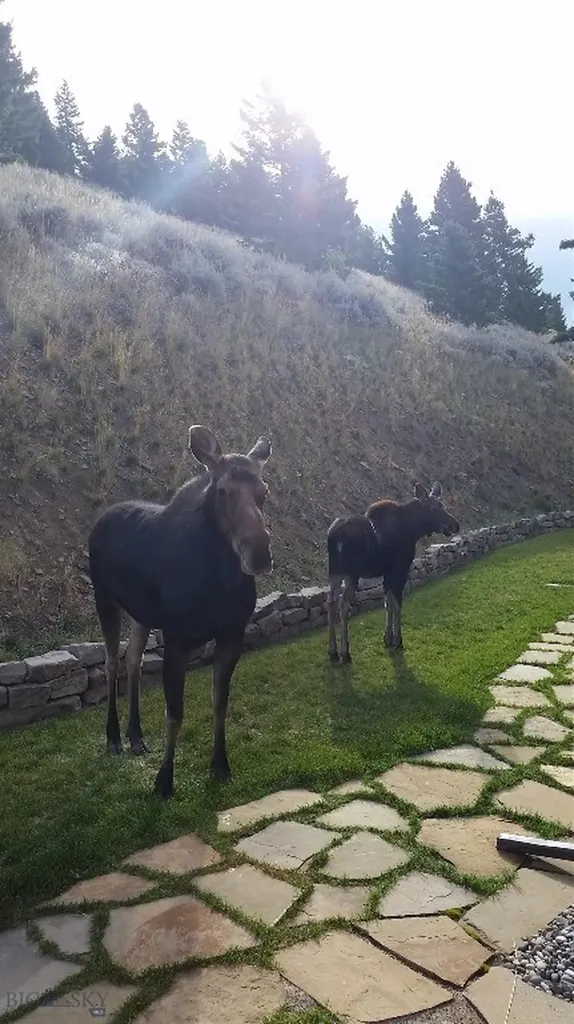 176 Game Trail Road Bozeman MT 59715