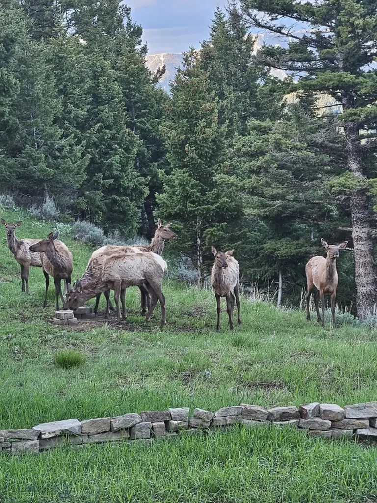 176 Game Trail Road Bozeman MT 59715