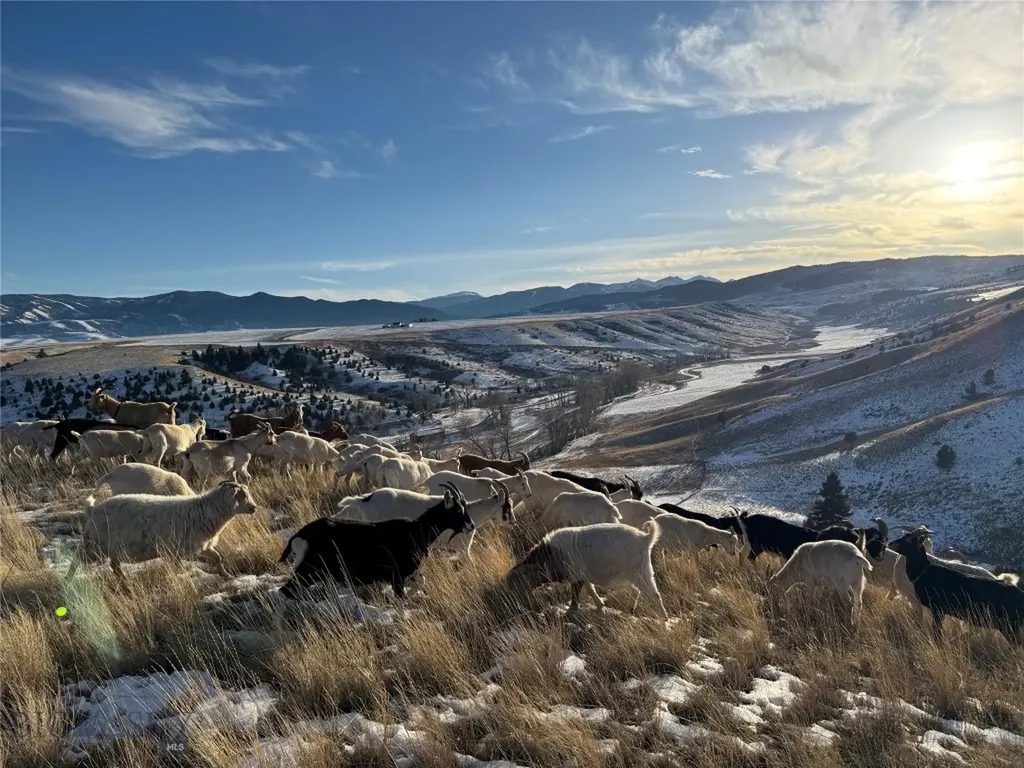 179 Montana Ranch Trail Road Gallatin Gateway MT 59730