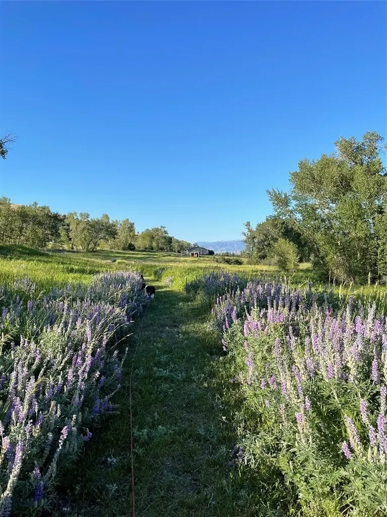 179 Montana Ranch Trail Road Gallatin Gateway MT 59730