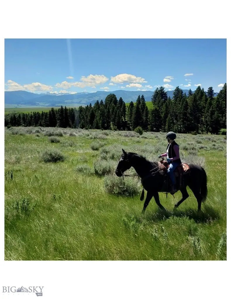179 Montana Ranch Trail Road Gallatin Gateway MT 59730