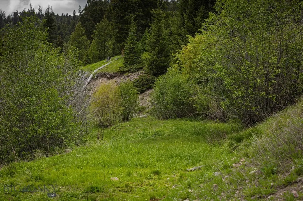 4,5,6,7 Garnet Range Drummond MT 59832