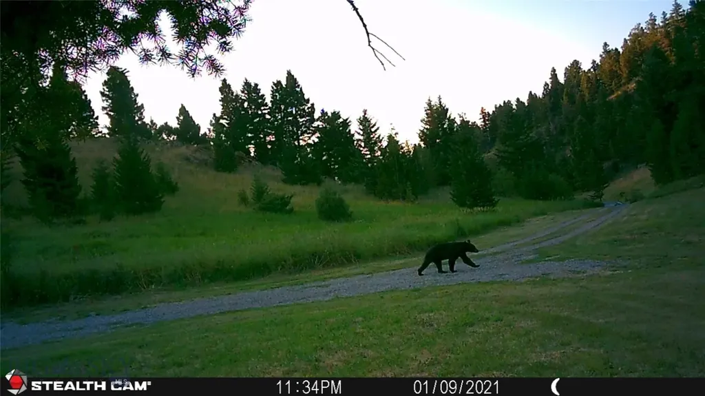 1 Seven Point Road Livingston MT 59047