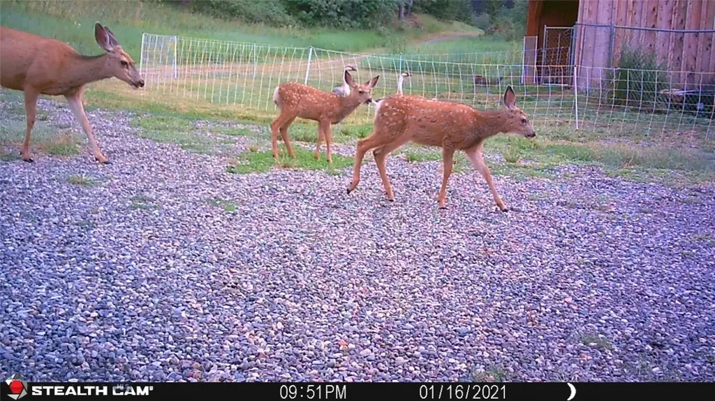 1 Seven Point Road Livingston MT 59047
