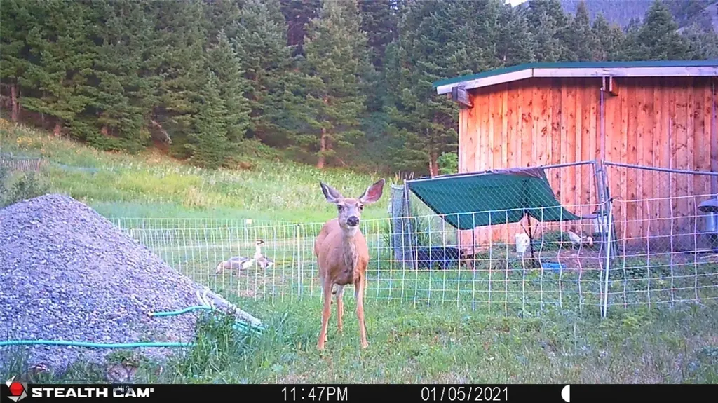 1 Seven Point Road Livingston MT 59047