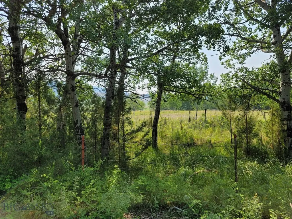 2A School House Meadow Helmville MT 59843