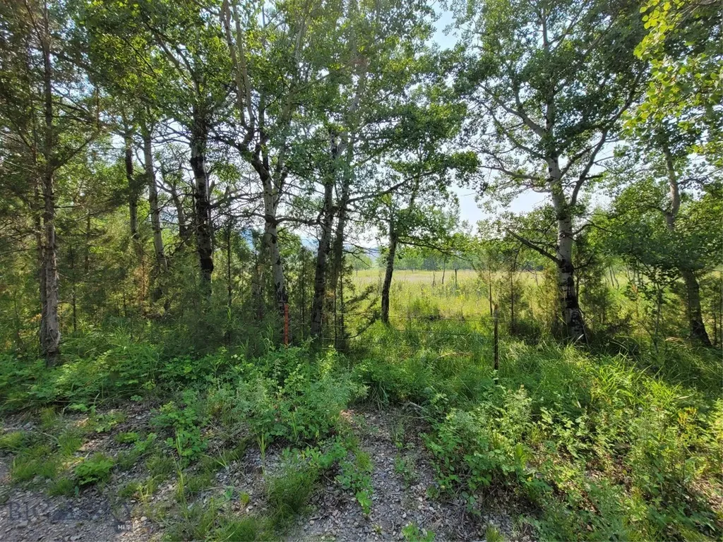 2A School House Meadow Helmville MT 59843