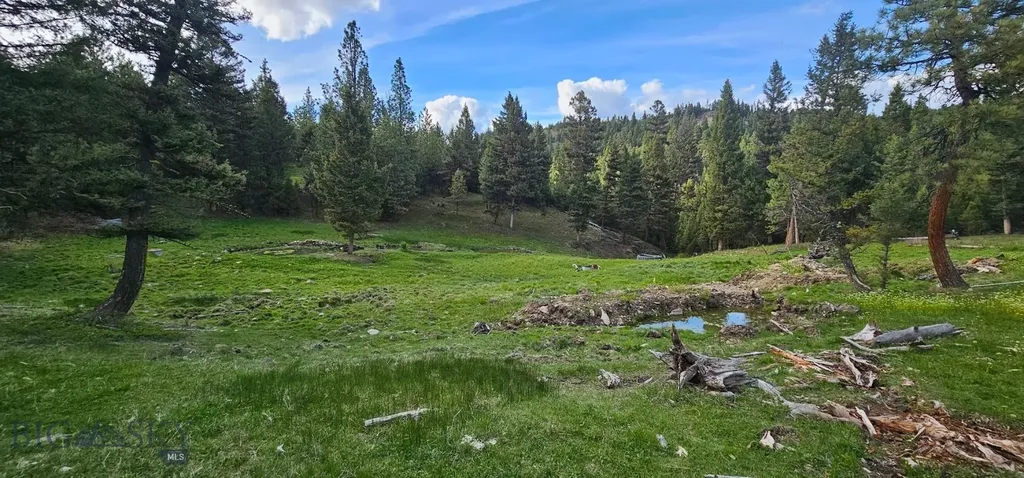 7 Tract, Bull Elk Drummond MT 59832