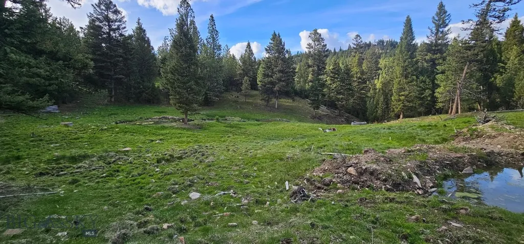 7 Tract, Bull Elk Drummond MT 59832