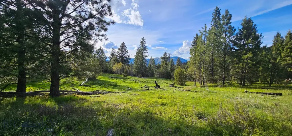 7 Tract, Bull Elk Drummond MT 59832