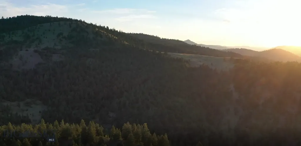 4 Tract, Bull Elk Drummond MT 59832