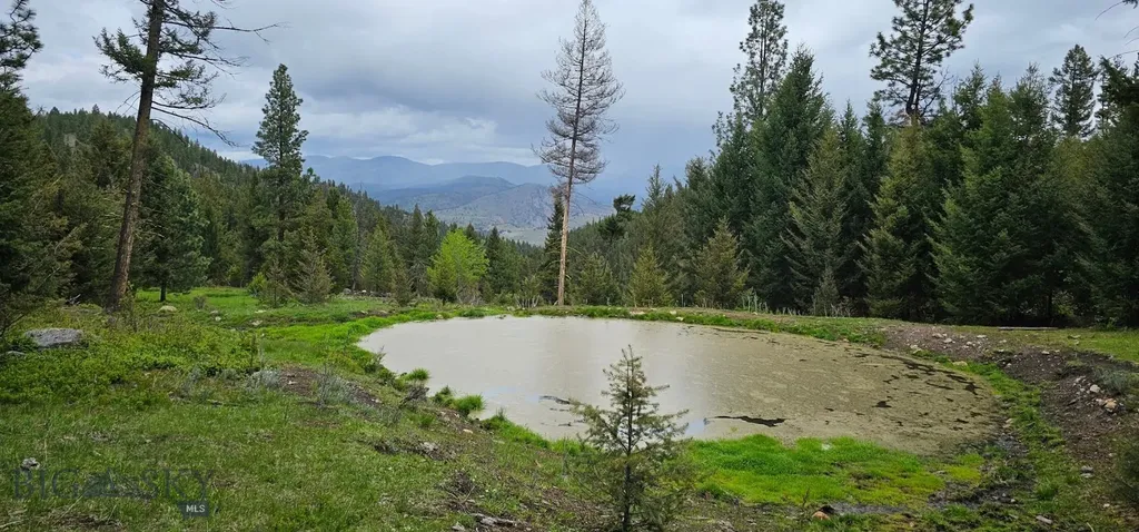 4 Tract, Bull Elk Drummond MT 59832