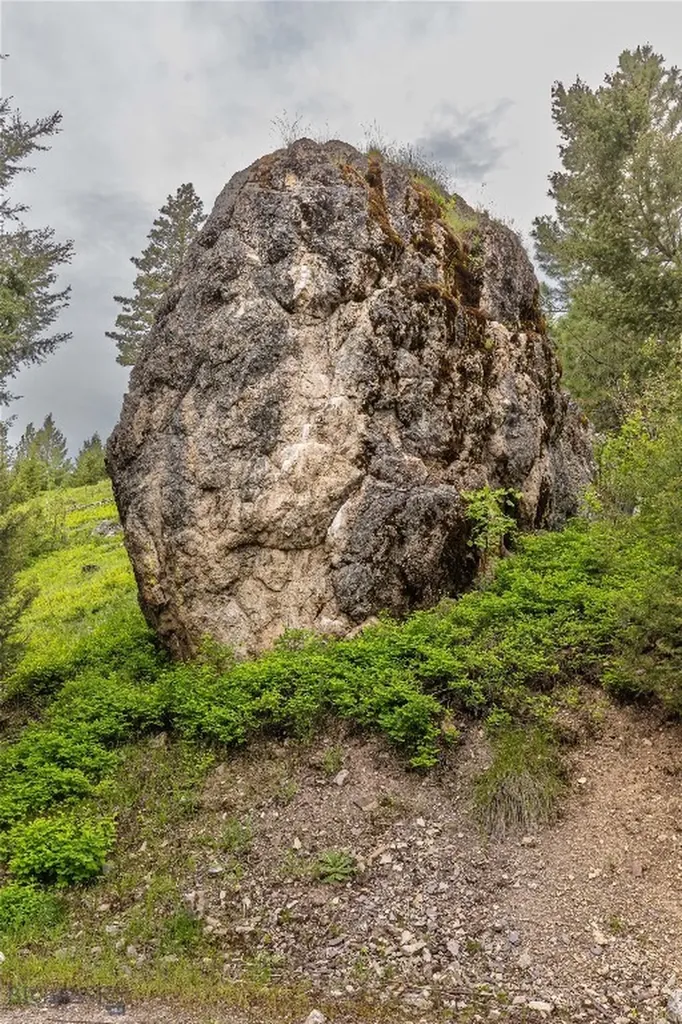4 Tract, Bull Elk Drummond MT 59832