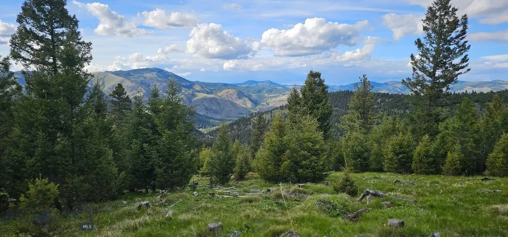 4 Tract, Bull Elk Drummond MT 59832