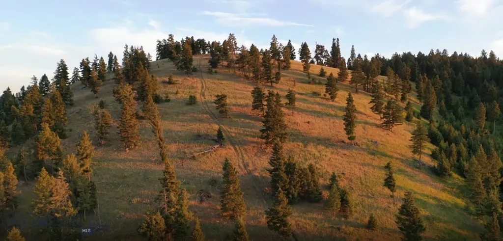 4 Tract, Bull Elk Drummond MT 59832