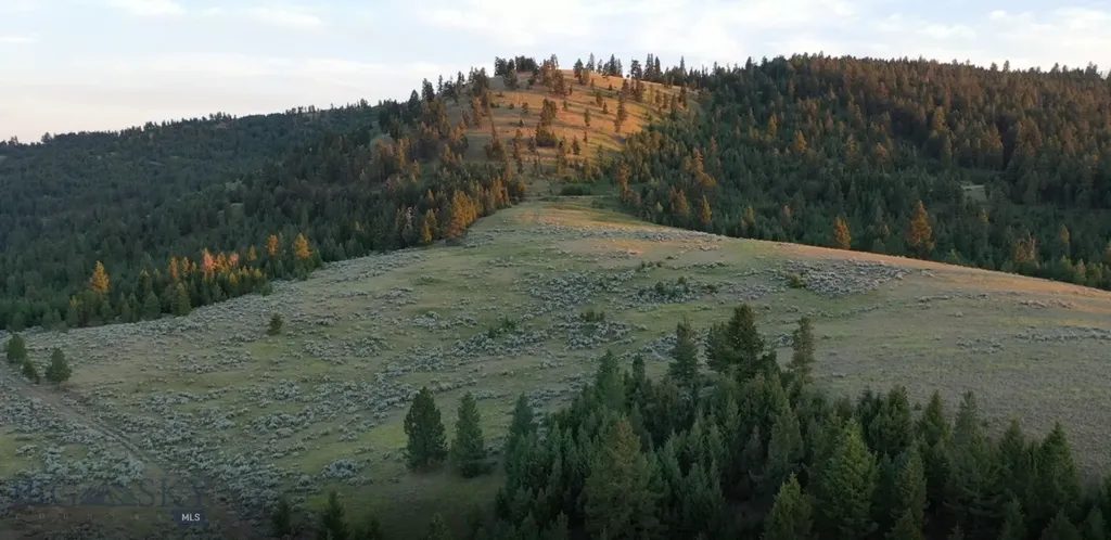 4 Tract, Bull Elk Drummond MT 59832