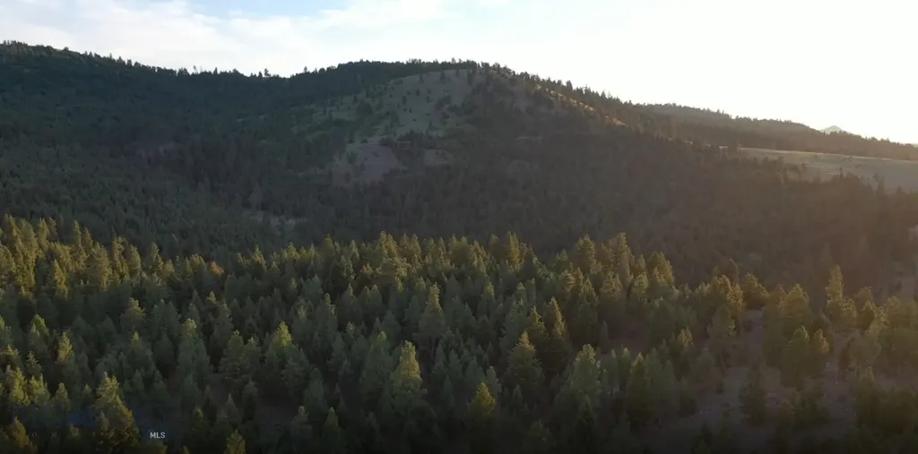 4 Tract, Bull Elk Drummond MT 59832