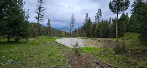 4 Tract, Bull Elk Drummond MT 59832
