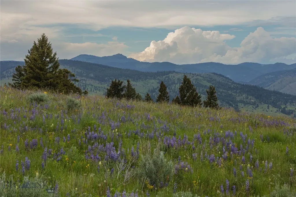 3 Tract, Bull Elk Drummond MT 59832