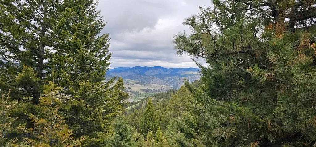 3 Tract, Bull Elk Drummond MT 59832
