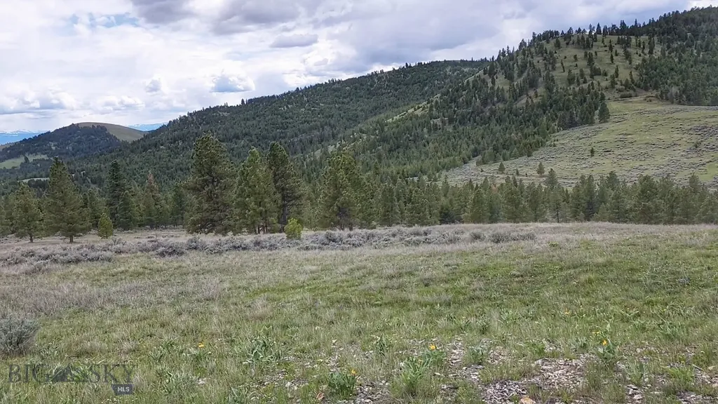 3 Tract, Bull Elk Drummond MT 59832
