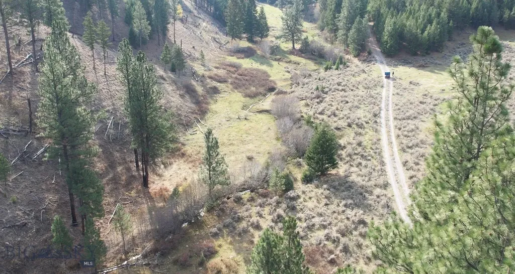 1 Tract, Bull Elk Drummond MT 59832
