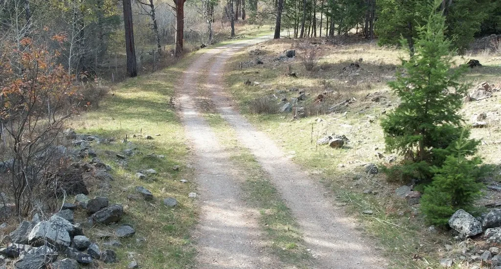 1 Tract, Bull Elk Drummond MT 59832