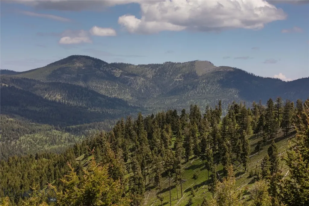 4 Tract Garnet Range Drummond MT 59832