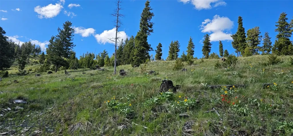 4 Tract Garnet Range Drummond MT 59832