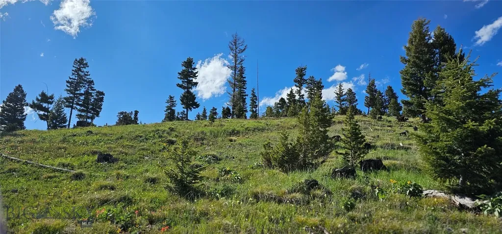 4 Tract Garnet Range Drummond MT 59832