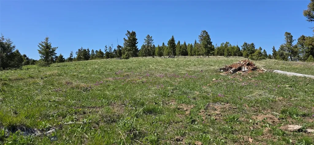 9 Tract, Garnet Range Drummond MT 59832