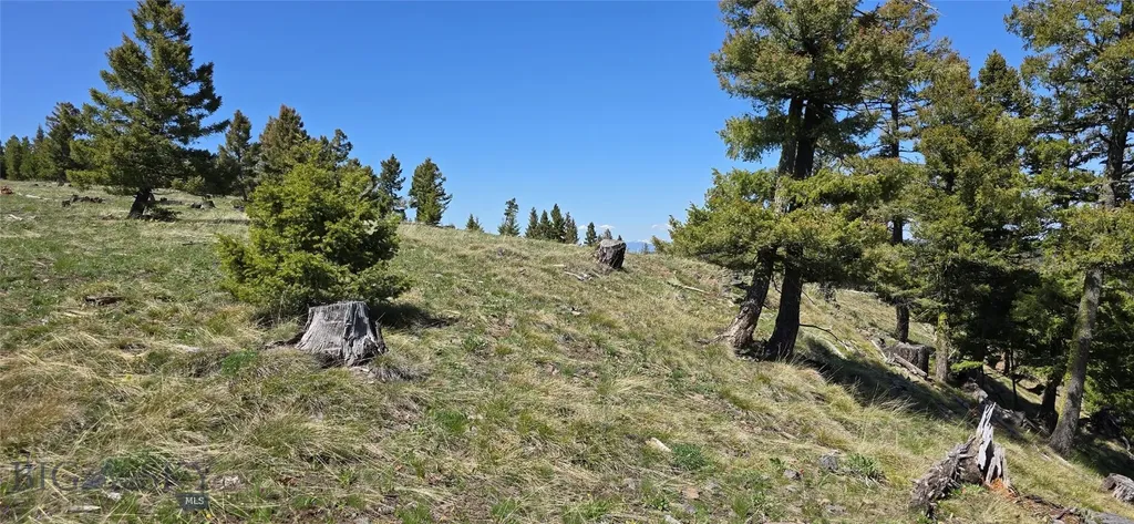 9 Tract, Garnet Range Drummond MT 59832