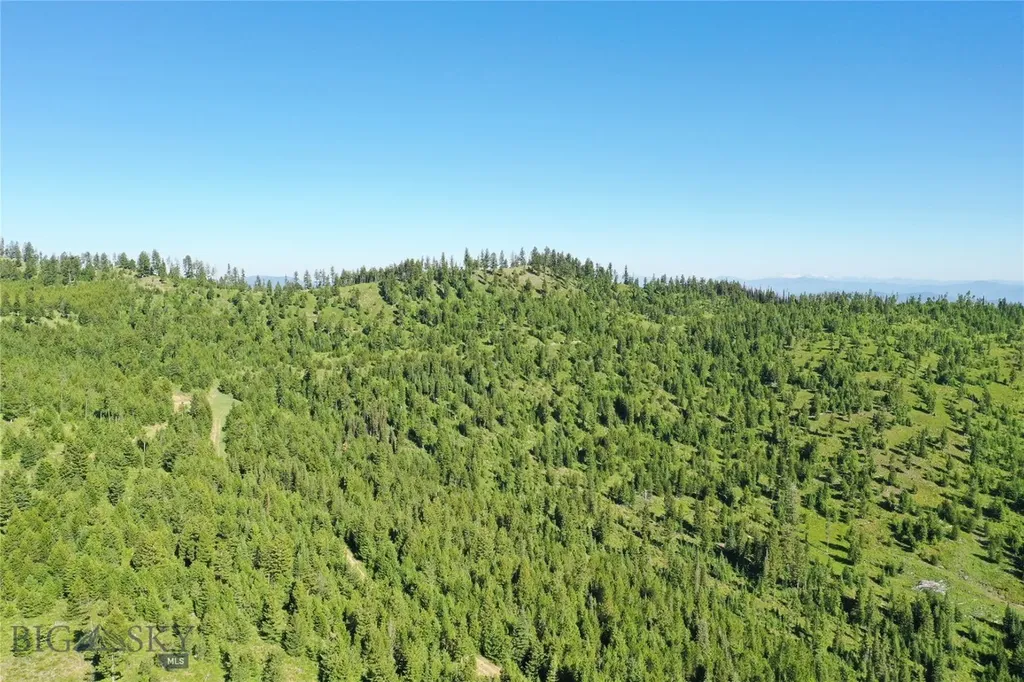 8 Tract, Garnet Range Drummond MT 59832