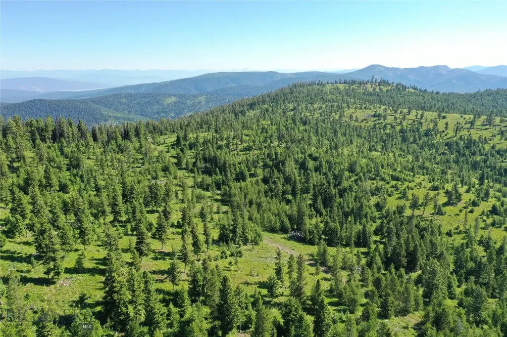 8 Tract, Garnet Range Drummond MT 59832