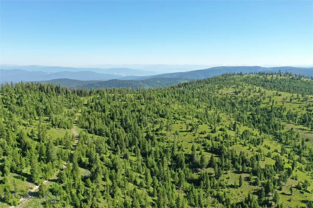 8 Tract, Garnet Range Drummond MT 59832