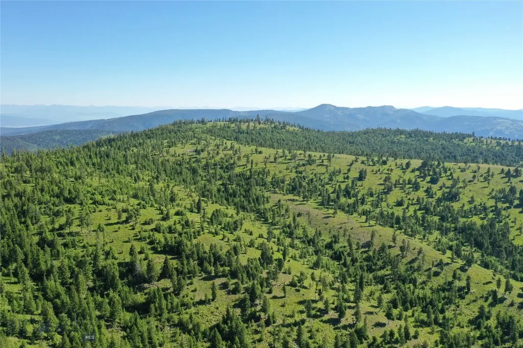 8 Tract, Garnet Range Drummond MT 59832