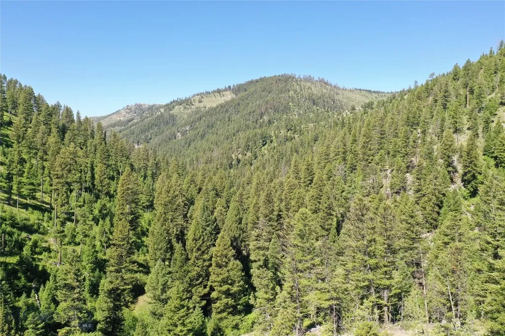 7 Tract, Garnet Range Drummond MT 59832