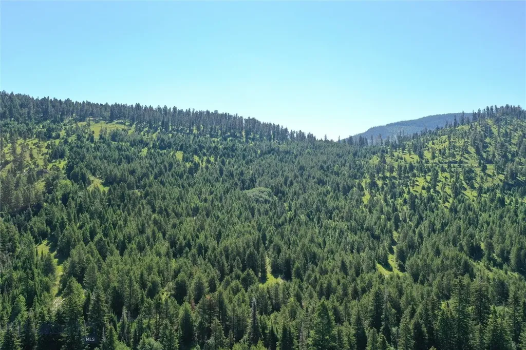 6 Tract, Garnet Range Drummond MT 59832