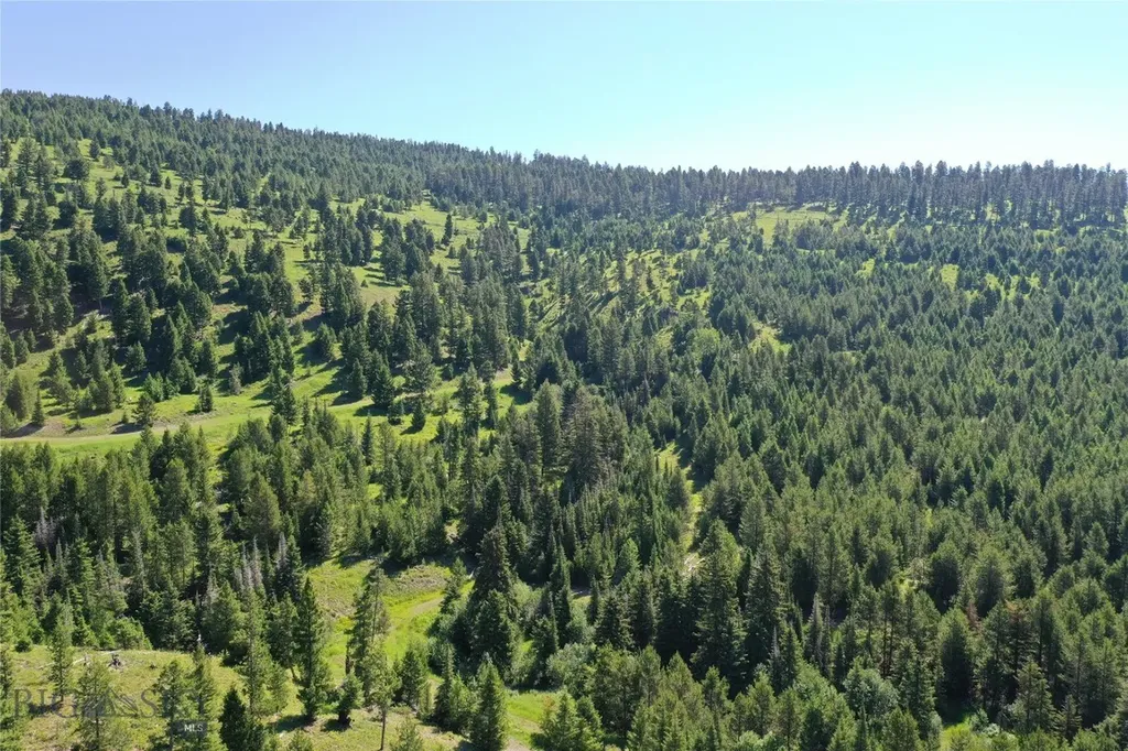 6 Tract, Garnet Range Drummond MT 59832