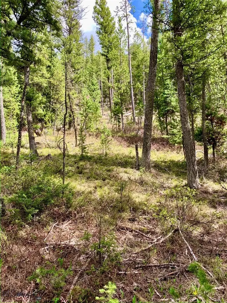 4256 Mountain View Drive Island Park ID 83429